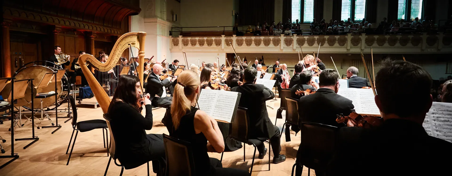 The strings and harp of the orchestra in a concert hall, seen from behind the players